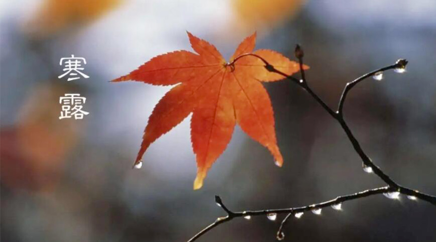 寒露時(shí)節(jié)！金環(huán)電器提醒大家要注意的事項(xiàng)