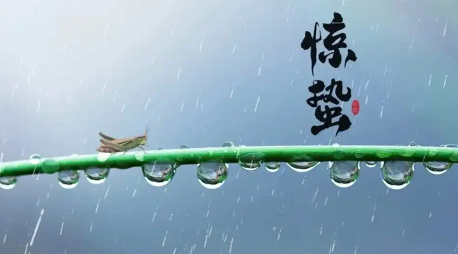 驚蟄時節(jié)！金環(huán)電器提醒大家干衣要注意這些