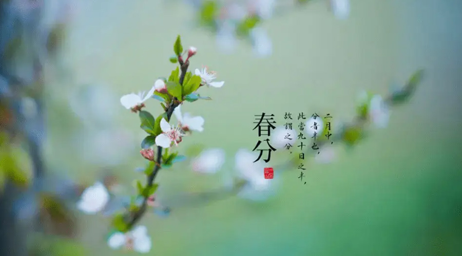 春分雨水多易生菌！金環(huán)電器提醒你衣物要注意處理